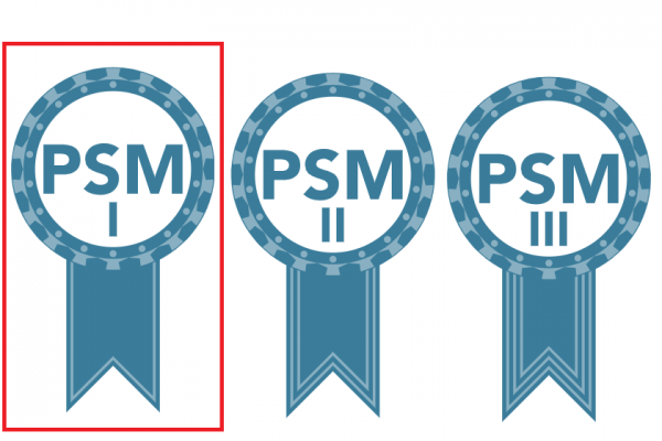 PSM I